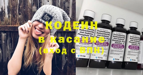 индика Осташков