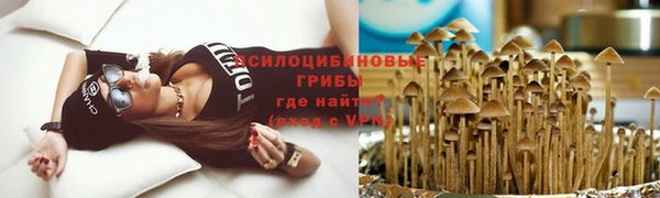 ГАЛЛЮЦИНОГЕННЫЕ ГРИБЫ Нягань