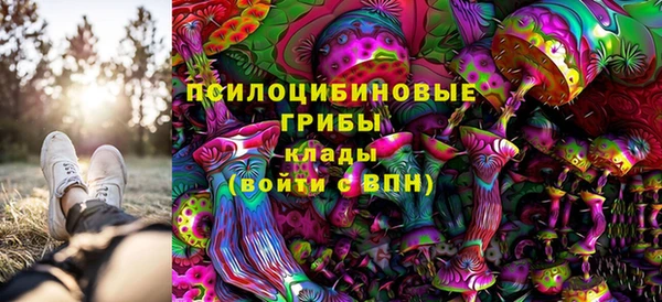 индика Осташков