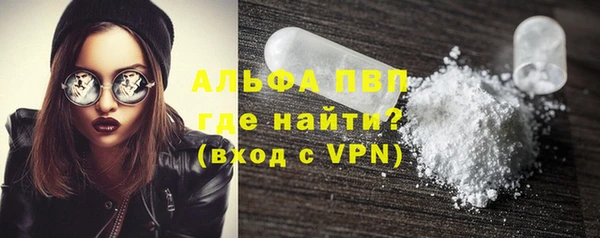 индика Осташков