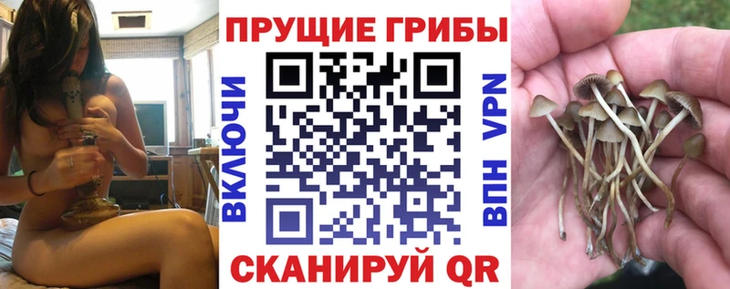 Псилоцибиновые грибы GOLDEN TEACHER blacksprut ссылка Наволоки
