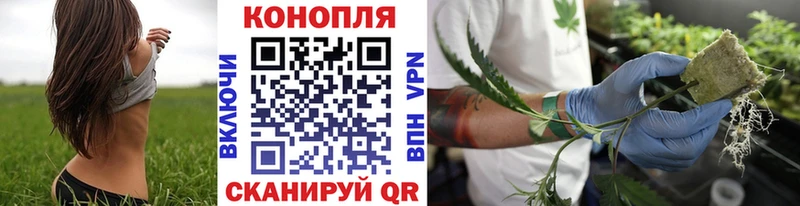 наркота  Наволоки  Конопля MAZAR 